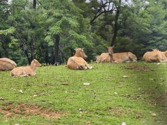 -秦皇岛野生动物园