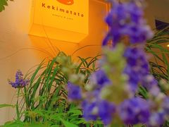 -Kekimatata 生日蛋糕·烘焙教学