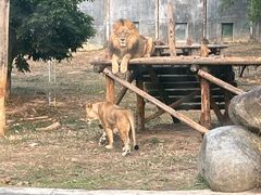 -泉州海丝野生动物世界
