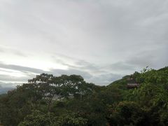 -三亚亚龙湾人间天堂鸟巢度假村