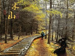 -苏木山森林公园