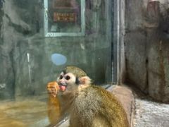 -泉城欧乐堡海洋极地世界