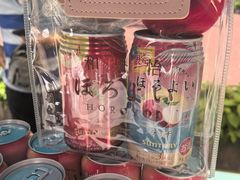 -美罗城