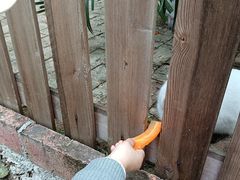 -长廊欢乐园