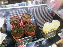 -Sweety Fairy小蜜蜂蛋糕&下午茶(大柏树店)