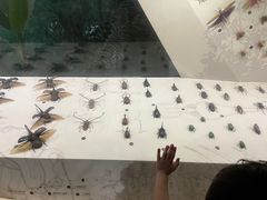 -长江文明馆