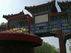 -迎泽公园