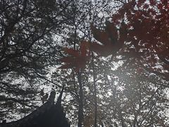 -五女山景区