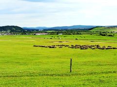 -塞罕坝国家级自然保护区