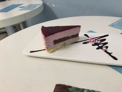 -喵的天空名猫咖啡馆·撸猫·猫舍·用品