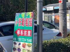 -马陆小张葡萄园农家乐