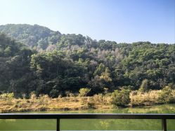 -致友月子会所旗舰店