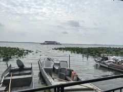 -渔娘蟹庄(阳澄湖莲花岛店)