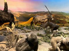 -国家自然博物馆