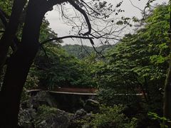-仙寓山景区