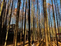 -山王坪喀斯特国家生态公园