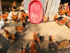 -宁波五龙潭景区