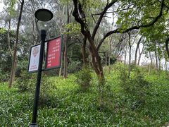 -广州雕塑公园