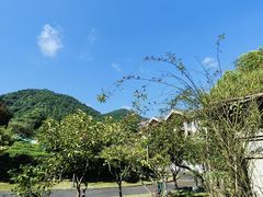 -余姚阳明温泉山庄