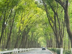 -金山嘴渔村