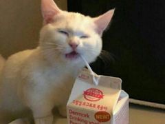 -来伊份(解放路店)