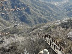 -大岭沟猕猴桃谷风景区