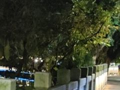-潘塘公园