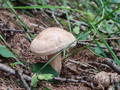 -苏木山森林公园