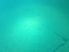 -白鹤梁水下博物馆