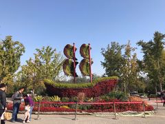 -大兴滨河森林公园