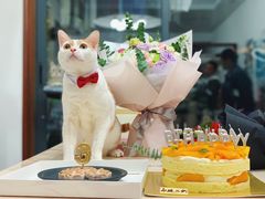 -福气鲜活面包·生日蛋糕