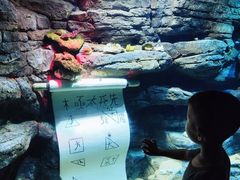 -沈阳海洋探索中心