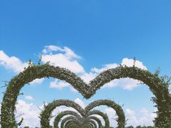 -迪茵湖田家舍生态农场