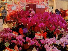 -盒马鲜生(皇庭广场店)