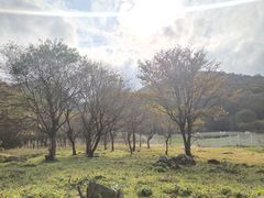 -大水川景区