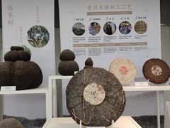 -中国茶叶博物馆(双峰馆区)