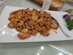鸡里蹦-丁老爷子苏香圆