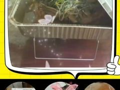 -金豆角砂锅焖面(安贞店)