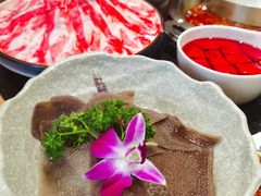 大刀毛肚-大龙燚火锅(白石洲店)