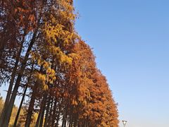 -上海月湖雕塑公园