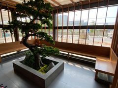 -松子料理(亮马桥店)