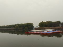 -大兴滨河森林公园