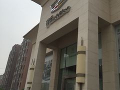 -河南威佳金凯汽车销售服务有限公司