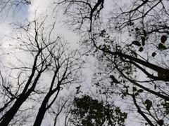 -贵阳市花溪国家城市湿地公园