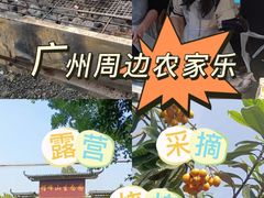 -广州市帽峰山景区