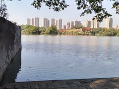 -青枫公园