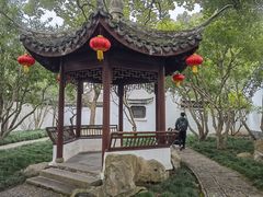 -上海醉白池公园