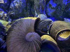-正佳极地海洋世界