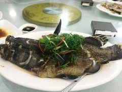 清蒸石斑鱼-宜兴隆家宴·私房菜(泰安华庭店)