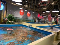 -日进一片海.生腌海鲜火锅.宵夜烧烤(三里屯总店)